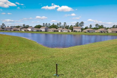 You've got to see this, upgrades galore 3 bedroom 2 bath Ranch on Palmetto Greens Golf and Country Club in South Carolina - for sale on GolfHomes.com, golf home, golf lot