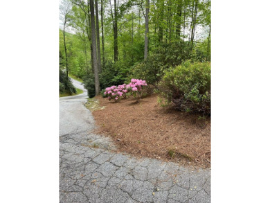 Exquisite Mountain Retreat in Old Edwards Club at Highlands Cove on Old Edwards Club in North Carolina - for sale on GolfHomes.com, golf home, golf lot