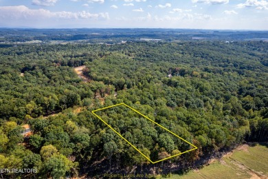 Yes-you can have it all! Build your dream home in Tennessee on Tennessee National Golf Club in Tennessee - for sale on GolfHomes.com, golf home, golf lot