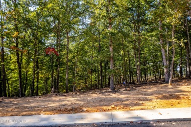Yes-you can have it all! Build your dream home in Tennessee on Tennessee National Golf Club in Tennessee - for sale on GolfHomes.com, golf home, golf lot