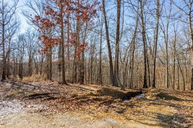 Yes-you can have it all! Build your dream home in Tennessee on Tennessee National Golf Club in Tennessee - for sale on GolfHomes.com, golf home, golf lot