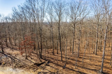 Yes-you can have it all! Build your dream home in Tennessee on Tennessee National Golf Club in Tennessee - for sale on GolfHomes.com, golf home, golf lot