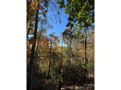 Welcome to the Blue Ridge Mountains! Come and see these prime on Champion Hills Club, Inc. in North Carolina - for sale on GolfHomes.com, golf home, golf lot