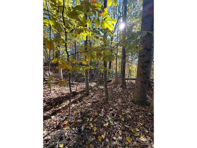 Welcome to the Blue Ridge Mountains! Come and see these prime on Champion Hills Club, Inc. in North Carolina - for sale on GolfHomes.com, golf home, golf lot