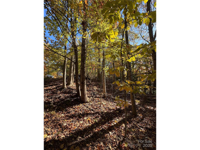 Welcome to the Blue Ridge Mountains! Come and see these prime on Champion Hills Club, Inc. in North Carolina - for sale on GolfHomes.com, golf home, golf lot