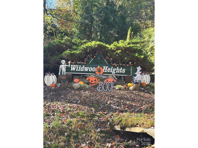 Welcome to the Blue Ridge Mountains! Come and see these prime on Champion Hills Club, Inc. in North Carolina - for sale on GolfHomes.com, golf home, golf lot