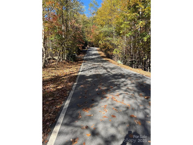 Welcome to the Blue Ridge Mountains! Come and see these prime on Champion Hills Club, Inc. in North Carolina - for sale on GolfHomes.com, golf home, golf lot