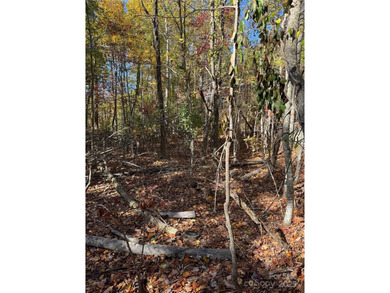 Welcome to the Blue Ridge Mountains! Come and see these prime on Champion Hills Club, Inc. in North Carolina - for sale on GolfHomes.com, golf home, golf lot