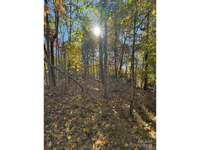 Welcome to the Blue Ridge Mountains! Come and see these prime on Champion Hills Club, Inc. in North Carolina - for sale on GolfHomes.com, golf home, golf lot