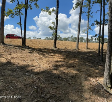 Build your dream home on this beautiful .96 acre wooded lot on Tennessee National Golf Club in Tennessee - for sale on GolfHomes.com, golf home, golf lot