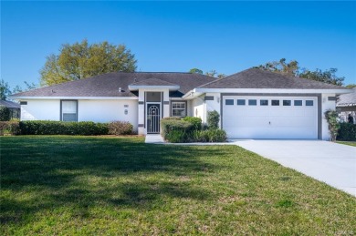 Beautiful, move-in ready 3 bedroom, 2 bathroom house on the golf on LakeSide Country Club in Florida - for sale on GolfHomes.com, golf home, golf lot