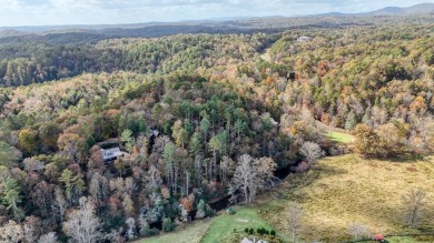 This picturesque 1.22-acre lot offers beautiful views of the on White Path Golf Club in Georgia - for sale on GolfHomes.com, golf home, golf lot