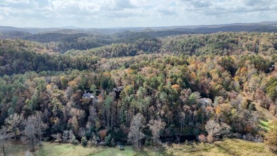 This picturesque 1.22-acre lot offers beautiful views of the on White Path Golf Club in Georgia - for sale on GolfHomes.com, golf home, golf lot