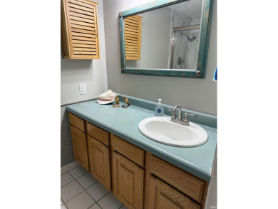 You'll be living the dream at this 2-bedroom/2-bath condo that on The Eagle Pointe Golf Resort in Indiana - for sale on GolfHomes.com, golf home, golf lot