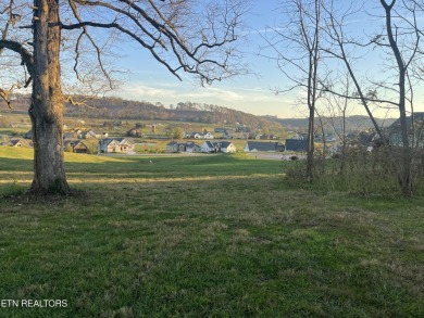 OFFERING THIS COVETED PREMIER LOT that overlooks the golf course on Tennessee National Golf Club in Tennessee - for sale on GolfHomes.com, golf home, golf lot