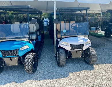 An Amazing BUSINESS Opportunity built over the past 5 years in on Cheeca Lodge Resort in Florida - for sale on GolfHomes.com, golf home, golf lot