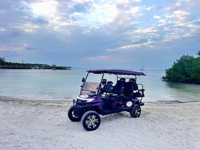 An Amazing BUSINESS Opportunity built over the past 5 years in on Cheeca Lodge Resort in Florida - for sale on GolfHomes.com, golf home, golf lot