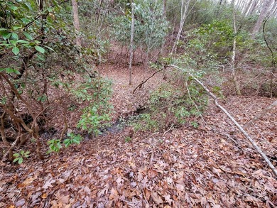 Tucked inside the gated community of Riverbend at Lake Lure on Lake Lure Municipal Golf Course in North Carolina - for sale on GolfHomes.com, golf home, golf lot