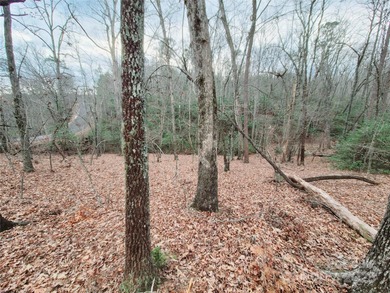 Tucked inside the gated community of Riverbend at Lake Lure on Lake Lure Municipal Golf Course in North Carolina - for sale on GolfHomes.com, golf home, golf lot
