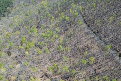This beautifully wooded lot in Rocky Knob Estates offers the on Old Union Golf Course in Georgia - for sale on GolfHomes.com, golf home, golf lot