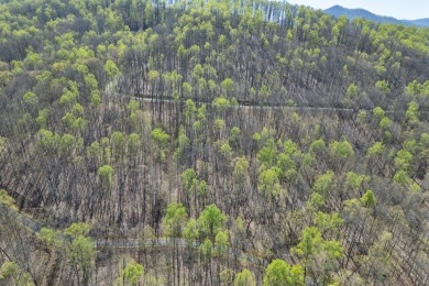 This beautifully wooded lot in Rocky Knob Estates offers the on Old Union Golf Course in Georgia - for sale on GolfHomes.com, golf home, golf lot