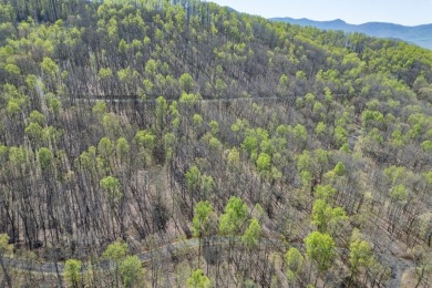 This beautifully wooded lot in Rocky Knob Estates offers the on Old Union Golf Course in Georgia - for sale on GolfHomes.com, golf home, golf lot