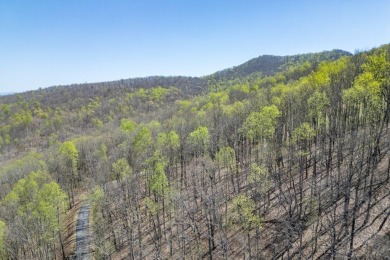 This beautifully wooded lot in Rocky Knob Estates offers the on Old Union Golf Course in Georgia - for sale on GolfHomes.com, golf home, golf lot