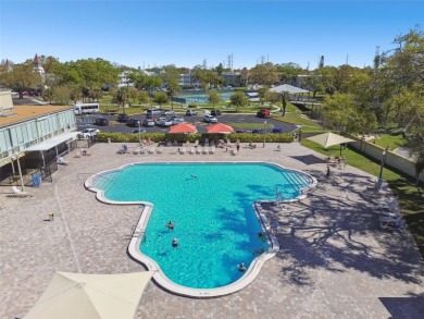 You will be On Top of the World in this updated two bedroom two on On Top Of The World Golf Course in Florida - for sale on GolfHomes.com, golf home, golf lot