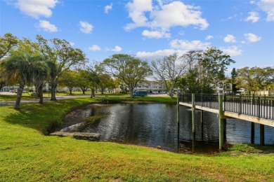 You will be On Top of the World in this updated two bedroom two on On Top Of The World Golf Course in Florida - for sale on GolfHomes.com, golf home, golf lot