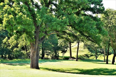 Pronghorn is one of the largest and most desirable subdivisions on Rock Creek Golf Club in Texas - for sale on GolfHomes.com, golf home, golf lot