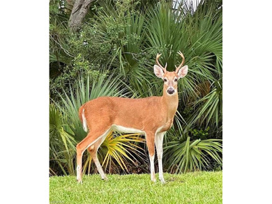 End-unit Abbey model now available in Naples Heritage with golf on Naples Heritage Golf and Country Club in Florida - for sale on GolfHomes.com, golf home, golf lot