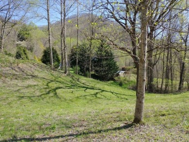 Large 206 acre lot in quiet established community of upscale on Mountain Harbour Golf Club in North Carolina - for sale on GolfHomes.com, golf home, golf lot
