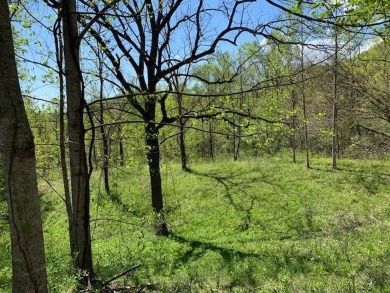 Large 206 acre lot in quiet established community of upscale on Mountain Harbour Golf Club in North Carolina - for sale on GolfHomes.com, golf home, golf lot