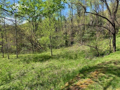 Large 206 acre lot in quiet established community of upscale on Mountain Harbour Golf Club in North Carolina - for sale on GolfHomes.com, golf home, golf lot