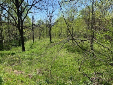 Large 206 acre lot in quiet established community of upscale on Mountain Harbour Golf Club in North Carolina - for sale on GolfHomes.com, golf home, golf lot