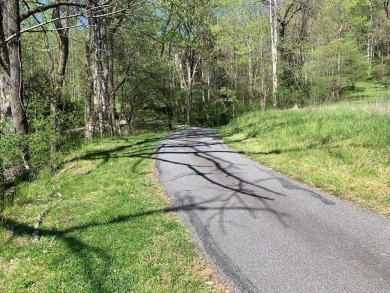Large 206 acre lot in quiet established community of upscale on Mountain Harbour Golf Club in North Carolina - for sale on GolfHomes.com, golf home, golf lot