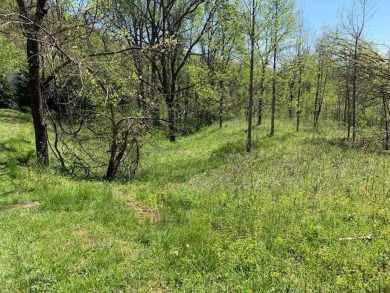 Large 206 acre lot in quiet established community of upscale on Mountain Harbour Golf Club in North Carolina - for sale on GolfHomes.com, golf home, golf lot