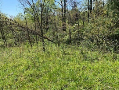 Large 206 acre lot in quiet established community of upscale on Mountain Harbour Golf Club in North Carolina - for sale on GolfHomes.com, golf home, golf lot