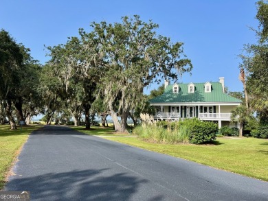 Take advantage of this beautiful lot behind the Coopers Point on Sapelo Hammock Golf Club in Georgia - for sale on GolfHomes.com, golf home, golf lot