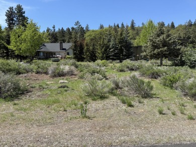 Rare homesite with unobstructed panoramic views of Klamath Lake on Running Y Ranch Resort in Oregon - for sale on GolfHomes.com, golf home, golf lot