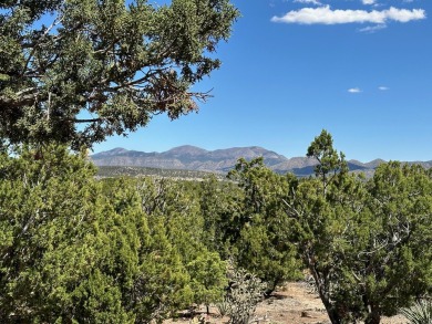 Enjoy 100 mile views from an upper elevation home site. Well on Paa-Ko Ridge Golf Club  in New Mexico - for sale on GolfHomes.com, golf home, golf lot