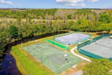 $5000 SELLER CREDIT AVAILABLE. 4/3/3 POOL HOME with LARGE BONUS on Heritage Harbor Golf and Country Club in Florida - for sale on GolfHomes.com, golf home, golf lot