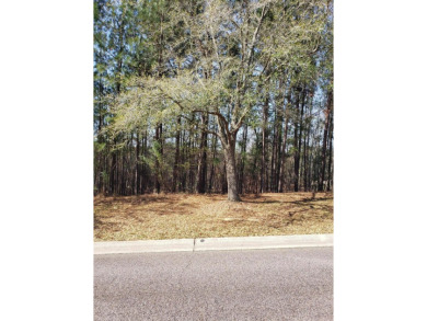 Beautiful lot with stunning golf course views on the #16 fairway on The Reserve Club At Woodside Plantation in South Carolina - for sale on GolfHomes.com, golf home, golf lot