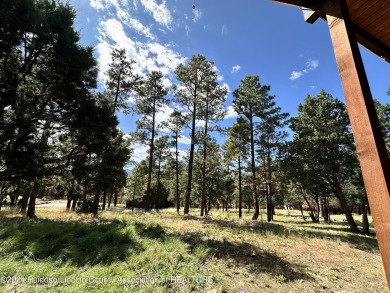 SPACIOUS REMODELED 5BD/3BA ALTO HOME! Golf membership and on The Links at Sierra Blanca in New Mexico - for sale on GolfHomes.com, golf home, golf lot