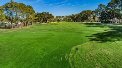 Welcome Timber Greens, a premier 55+ gated golf community. This on Timber Greens Country Club in Florida - for sale on GolfHomes.com, golf home, golf lot