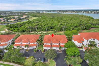 Exceptional Value - Lowest-Priced Home in Windstar on Naples on Windstar on Naples Bay in Florida - for sale on GolfHomes.com, golf home, golf lot