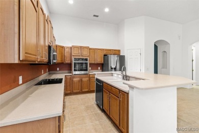 Introducing your dream home! Nestled in a serene cul-de-sac on Skyview At Terra Vista Golf and Country Club in Florida - for sale on GolfHomes.com, golf home, golf lot