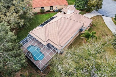 Introducing your dream home! Nestled in a serene cul-de-sac on Skyview At Terra Vista Golf and Country Club in Florida - for sale on GolfHomes.com, golf home, golf lot