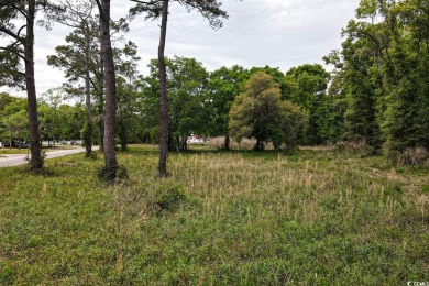 Don't miss out on this incredible opportunity! This vacant lot on Beachwood Golf Club in South Carolina - for sale on GolfHomes.com, golf home, golf lot