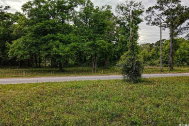 Don't miss out on this incredible opportunity! This vacant lot on Beachwood Golf Club in South Carolina - for sale on GolfHomes.com, golf home, golf lot